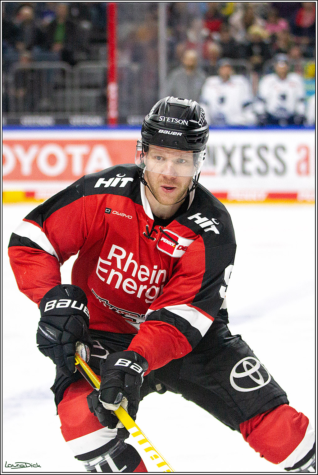 PENNY DEL;  Koelner Haie - Straubing Tigers; Koeln, 15.10.2021
